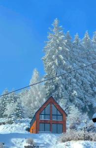 a small cabin in the snow with trees at Apartament Na Szlaku 