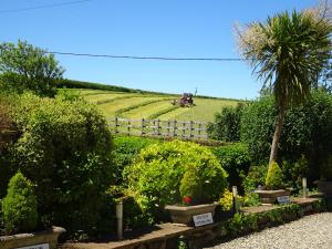 a garden with a palm tree and a field at Yr Hen Felin - The Old Mill B&B in Morfa Nefyn
