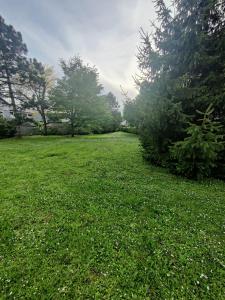 Fotografia z galérie ubytovania Alpes Golden Nest v destinácii Chambéry