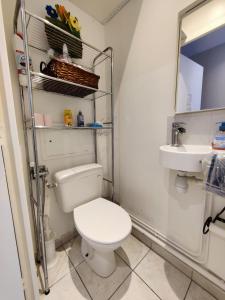een badkamer met een toilet en een wastafel bij Alpes Golden Nest in Chambéry