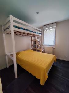 een slaapkamer met 2 stapelbedden en een ladder bij Alpes Golden Nest in Chambéry
