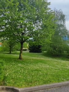 Fotografia z galérie ubytovania Alpes Golden Nest v destinácii Chambéry
