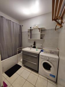 een badkamer met een wasmachine en een wastafel bij Alpes Golden Nest in Chambéry