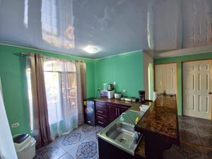 een keuken met groene muren en een wastafel bij Micheck beach house in Tortuguero