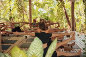 Гости Zeneidas Surf Garden