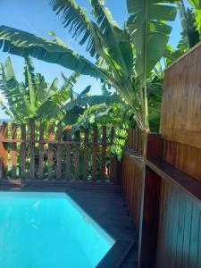 a swimming pool with a banana tree next to a fence at Bungalow de charme in Capesterre-Belle-Eau