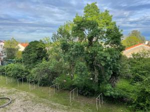 Príroda v okolí apartmánu