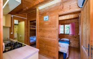 a log cabin kitchen with a stove and a sink at Amazing Home In Mali Iz With 1 Bedrooms And Wifi in Mali Iž