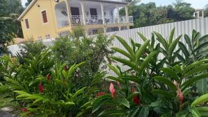 Giardino di Appartement Manou