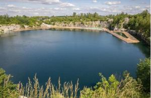 Природа в окрестностях апартаментов/квартиры