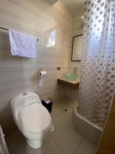 豪哈的住宿－EL GRAN SEÑORIAL，浴室配有卫生间、盥洗盆和淋浴。