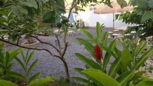 Giardino di Appartement Manou