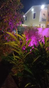 Giardino di Appartement Manou