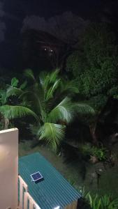 Giardino di Appartement Manou