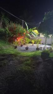 Giardino di Appartement Manou
