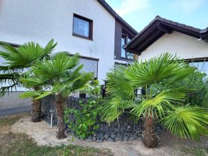 two palm trees in front of a house at Regal Apartment in Pracht with Garden and Grill in Pracht