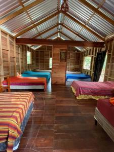 Habitación con varias camas en una habitación de madera. en Hotel Mon Ami en El Remate