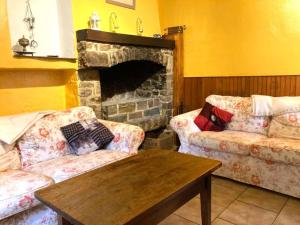 uma sala de estar com dois sofás e uma lareira em Cottage in the heart of the Ardennes woods em Harre