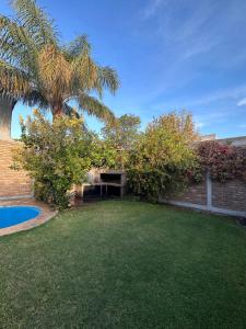 un patio trasero con una palmera y una piscina en Gran Casa del Centro Mendoza City en Mendoza