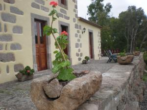 Zahrada ubytování Casa Rural Las Caldereras