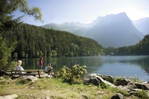 Fotografie z fotogalerie ubytování Appartement Sporthütte Fiegl v Längenfeldu