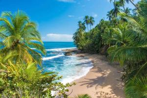 una playa con palmeras y el océano en Casa Lavanda in tropical jungle garden, en Manzanillo