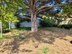 Fotografia z galérie ubytovania Maison Vacances à Notre-Dame-de-Monts (57m²) - 6 Pers, Proche Plage, Jardinet, Terrasse, WIFI - FR-1-540-195 v destinácii Notre-Dame-de-Monts