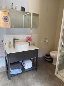 La salle de bains est pourvue d'un lavabo et de toilettes. dans l'établissement BENROSE FARM COTTAGES, à Wellington