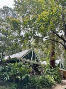 a house with a roof with plants and trees at Gap Beach House in Arakoon