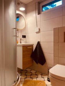 La salle de bains est pourvue d'une douche, d'un lavabo et de toilettes. dans l'établissement Dom Blisko Natury Boszkowo Letnisko Dom B, à Boszkowo-Letnisko