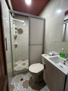 a bathroom with a shower and a toilet and a sink at Waka Maru in San Agustín