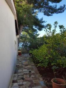 マスリニカにあるHoliday home More - sea viewの植物家の横の石畳