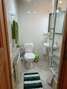 La petite salle de bains est pourvue de toilettes et d'un lavabo. dans l'établissement Pokoje Gościnne Grażyna Kozioł, à Zakopane