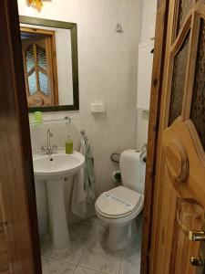 uma casa de banho com um WC e um lavatório em Pokoje Gościnne Grażyna Kozioł em Zakopane