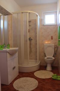 a bathroom with a shower and a toilet and a sink at Great apartment Katarina in Zadar