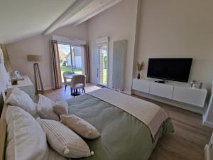 1 dormitorio grande con 1 cama grande y TV de pantalla plana en La Palentine, en Châteaumeillant