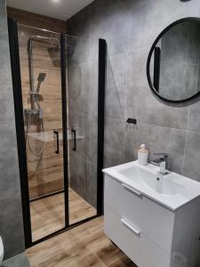 a bathroom with a shower and a sink and a mirror at Apartamenty Katowice Chopina 16 in Katowice +38 photos