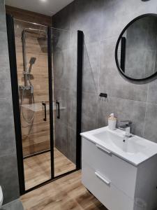 a bathroom with a shower and a sink and a mirror at Apartamenty Katowice Chopina 16 in Katowice