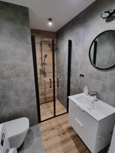 y baño con aseo, lavabo y ducha. en Apartamenty Katowice Chopina 16, en Katowice