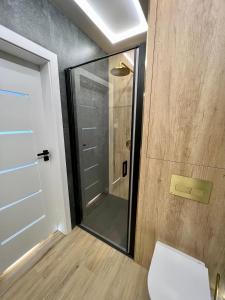 a shower with a glass door in a bathroom at Złoty Apartament in Tykocin