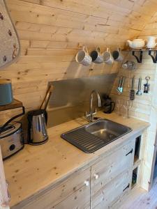 eine Küche mit einer Spüle und einer Arbeitsplatte in der Unterkunft The Chestnuts Pod with private garden. 
