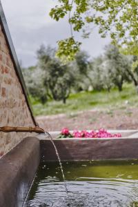 un ruisseau d'eau provenant d'une fontaine dans l'établissement Monna Terra B&B, à Fermo