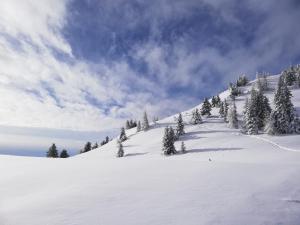 Landhaus Zitz a l'hivern