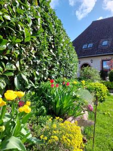 a garden with colorful flowers and a large bush at Klosterblick in Bad Doberan