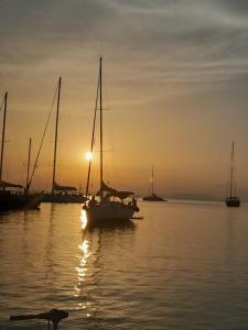 a boat in the water at sunset with boats in the water at Swing in Corfu
