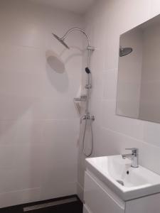 a white bathroom with a shower and a sink at Apartament Klimt 1 in Bielsko-Biała
