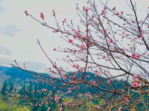 旅舍周边自然景观