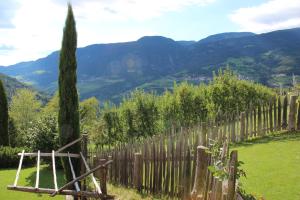 un viñedo con una valla y montañas al fondo en Appartements Riegelehof, en Laion