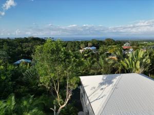 een luchtfoto van een bos met bomen en een gebouw bij Villa Écrin de Nature in Sainte-Rose