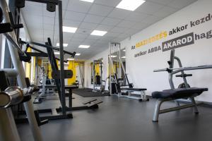 a gym with several treadmills and machines at Árkádia Vendégház in Lábatlan